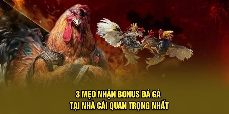 3 mẹo nhận bonus đá gà tại nhà cái quan trọng nhất