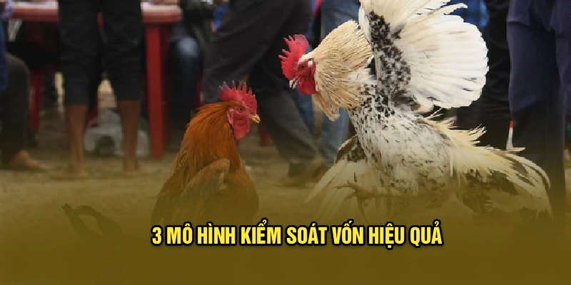 3 mô hình kiểm soát vốn hiệu quả