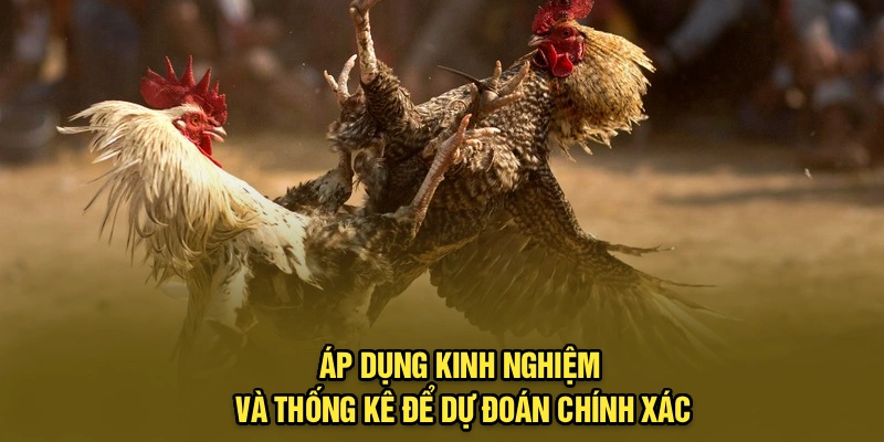 Áp dụng kinh nghiệm và thống kê để dự đoán chính xác