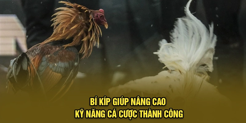 Bí kíp giúp nâng cao kỹ năng cá cược thành công