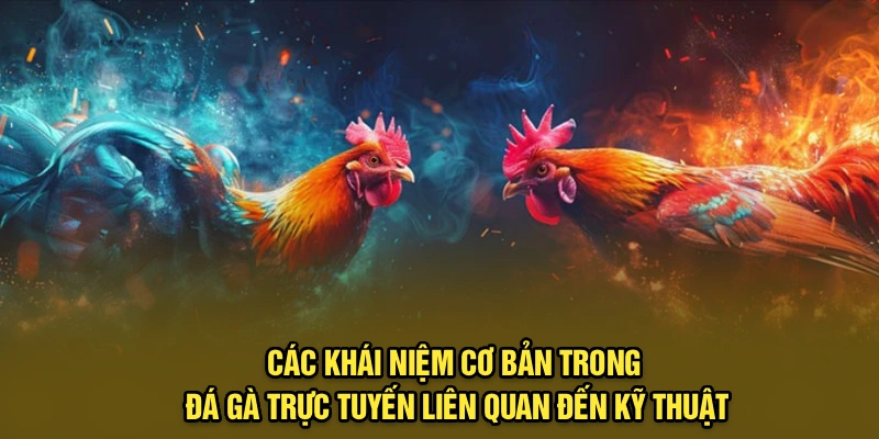 Các khái niệm cơ bản trong đá gà trực tuyến liên quan đến kỹ thuật