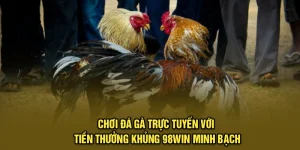 Chơi Đá Gà Trực Tuyến Với Tiền Thưởng Khủng 98Win Minh Bạch