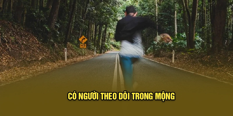 Có người theo dõi trong mộng