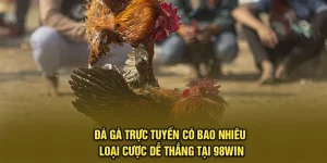 Đá Gà Trực Tuyến Có Bao Nhiêu Loại Cược?