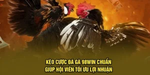 Kèo Cược Đá Gà 98Win Chuẩn Giúp Hội Viên Tối Ưu Lợi Nhuận