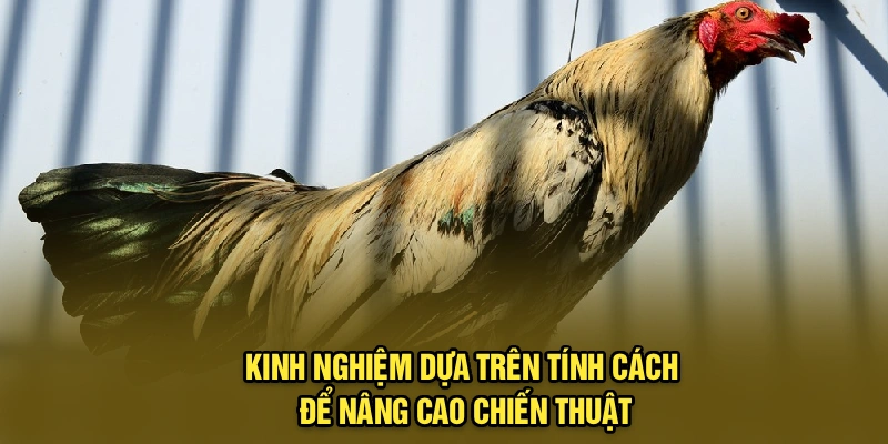 Kinh nghiệm dựa trên tính cách để nâng cao chiến thuật
