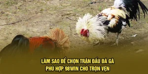 Làm Sao Để Chọn Trận Đấu Đá Gà Phù Hợp 98Win Cho Trọn Vẹn