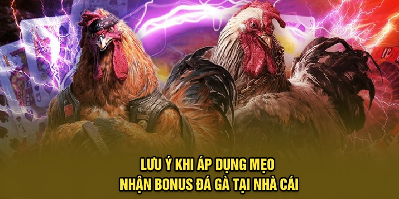 Lưu ý khi áp dụng mẹo nhận bonus đá gà tại nhà cái