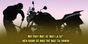 Mơ Thấy Mất Xe Máy Là Gì? Nên Đánh Số Như Thế Nào Tại 98Win