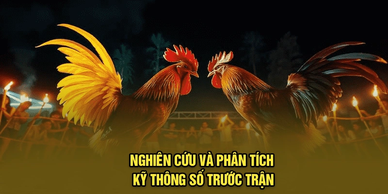 Nghiên cứu và phân tích kỹ thông số trước trận
