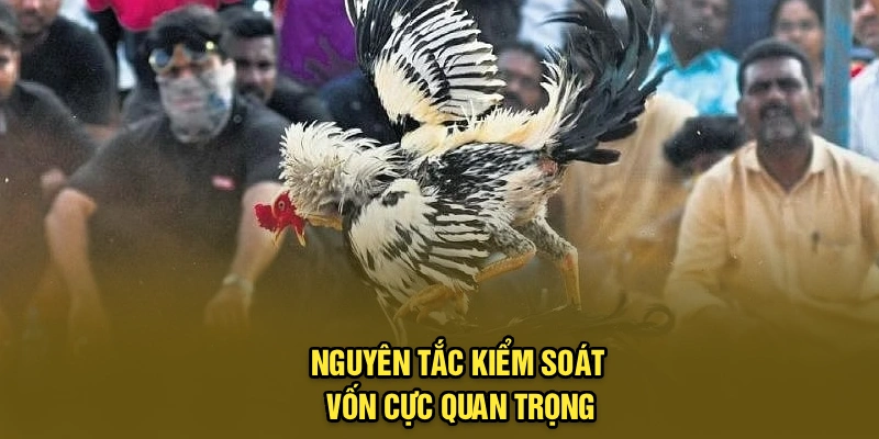 Nguyên tắc kiểm soát vốn cực quan trọng