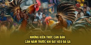Các Loại Cược Phổ Biến Trong Đá Gà Trực Tuyến 98Win Nên Biết