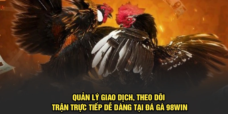 Quản lý giao dịch, theo dõi trận trực tiếp dễ dàng tại Đá Gà 98Win