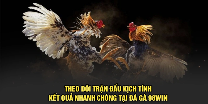 Theo dõi trận đấu kịch tính, kết quả nhanh chóng tại Đá Gà 98Win