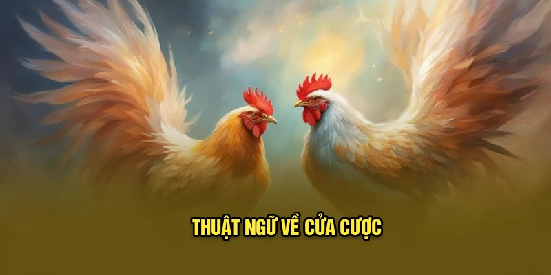 Thuật ngữ về cửa cược