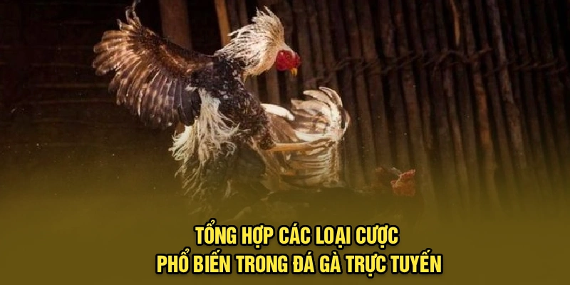 Tổng hợp các loại cược phổ biến trong đá gà trực tuyến