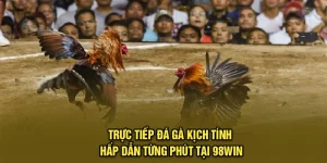 Trực Tiếp Đá Gà Kịch Tính, Hấp Dẫn Từng Phút Tại 98Win