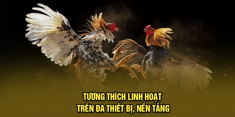 Tương thích linh hoạt trên đa thiết bị, nền tảng